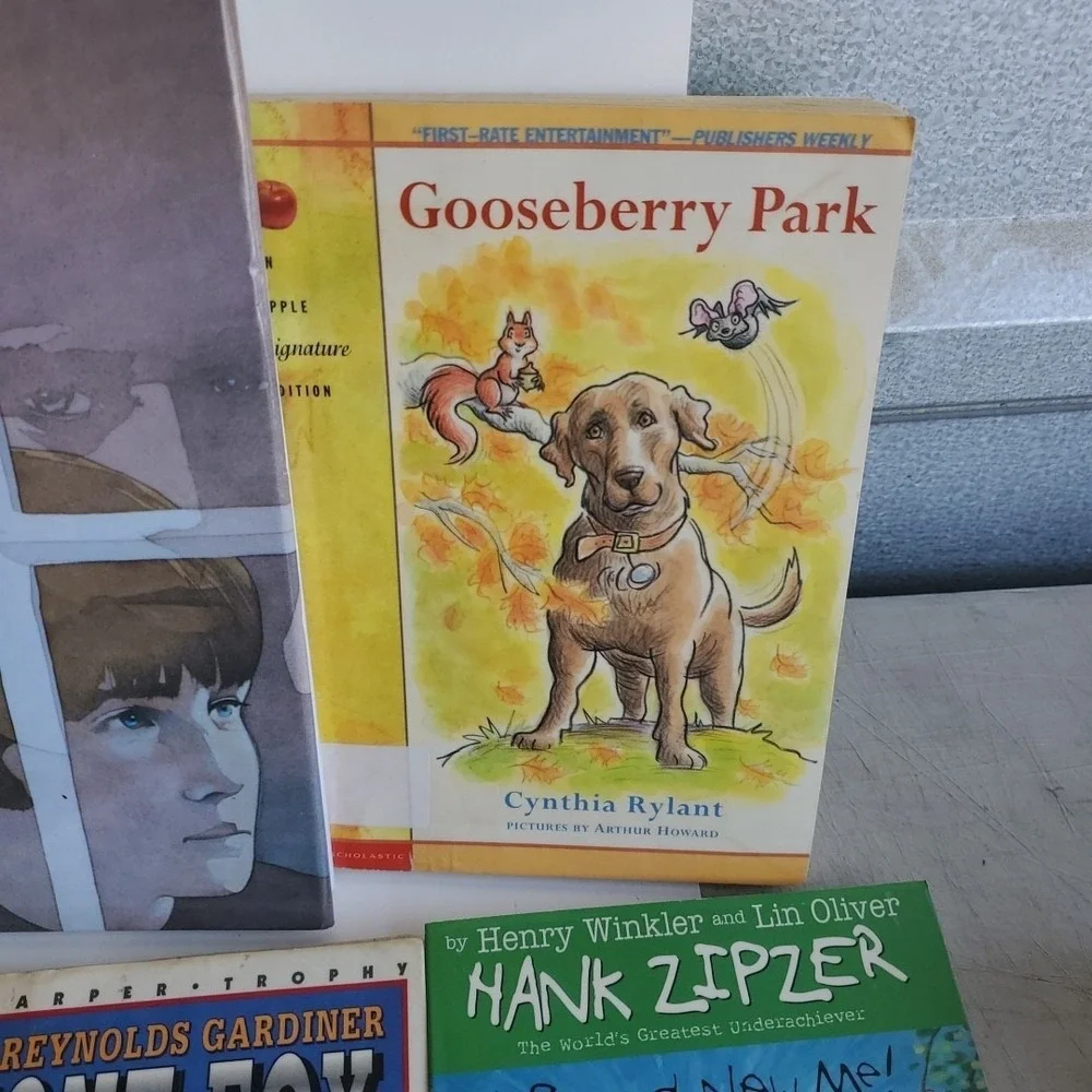Lot 23 Books PB HB Teacher Classroom Reading Support Readers Homeschool Level‎ 4